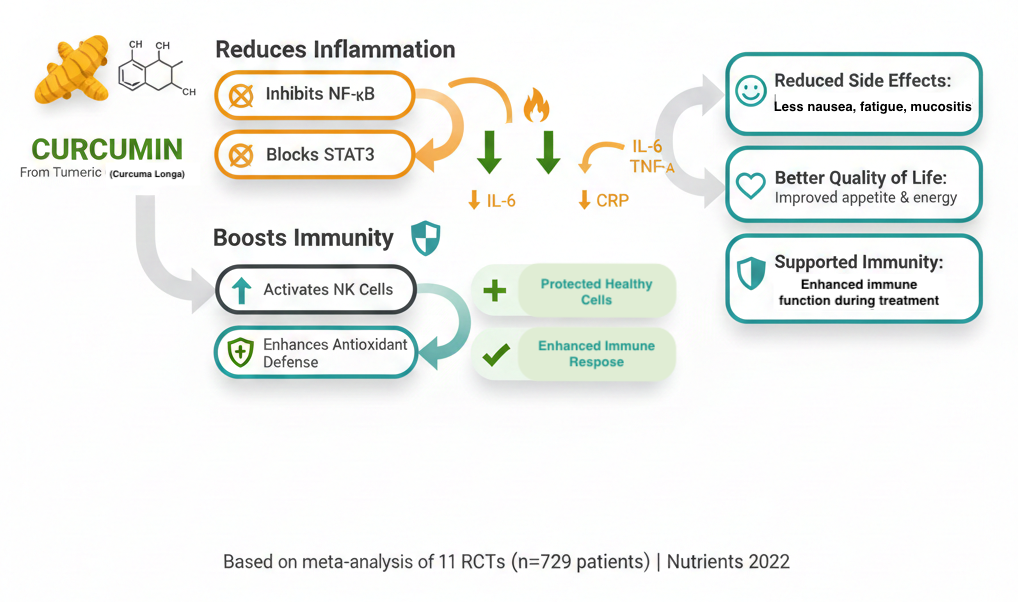 Curcumin in Cancer Chemotherapy Study